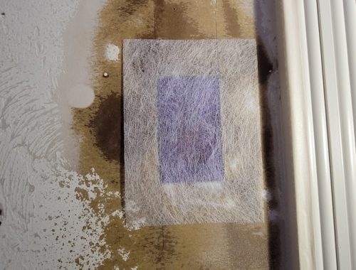 découvrez comment détecter la poudre d'amande périmée pour garantir la fraîcheur et la sécurité de vos préparations culinaires.