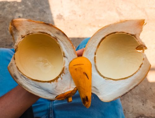 découvrez la confiture de banane traditionnelle antillaise, un délicieux mélange sucré et exotique qui apporte une touche authentique et gourmande à vos tartines et desserts.